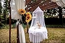 Trademark Mosquito Repelling Net For Beds, Hammocks, And Cribs - Insect