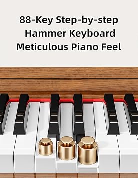 LANDTOM DDP-80 Digital Piano Keyboard 88 Keys Weighted, Hammer Action II, Home Electric Piano Full Size with Stand, Triple Pedal, MIDI Connecting and Headphone Interface (A-With Stool)