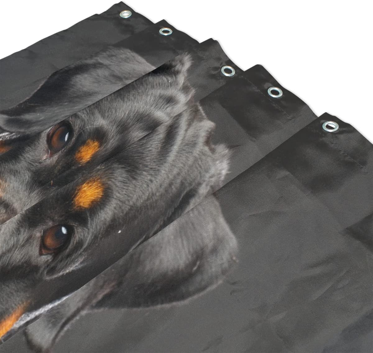Hokkien Rottweiler Dog Home Decorations Shower Curtain 72 x 72 inch Waterproof Polyester for Bathroom Shower Curtain Set with Hooks