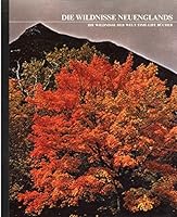 Ethiopic Astronomy and Computus 3700102895 Book Cover