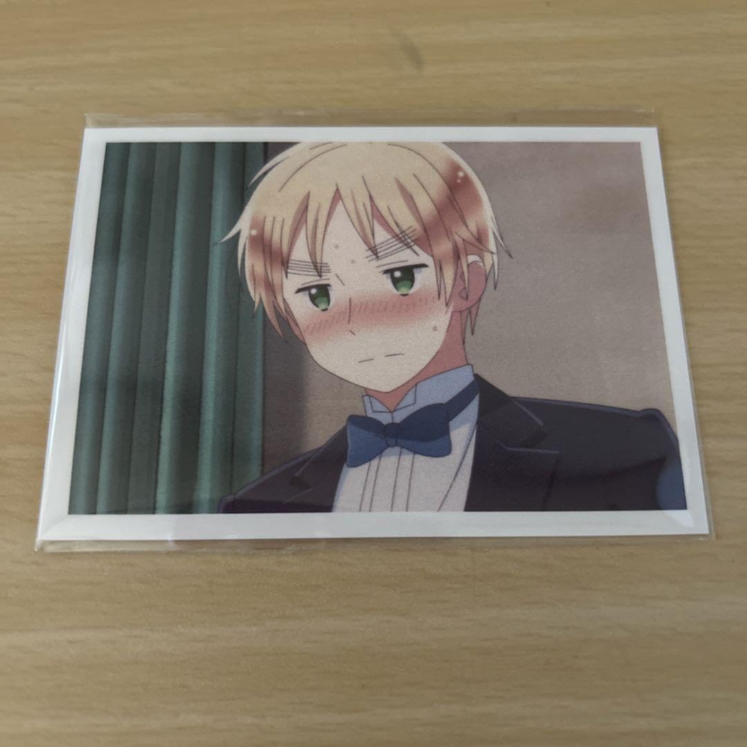 Amazon.co.jp: ヘタリア スイパラ アメリカ イギリス 特典 フォト