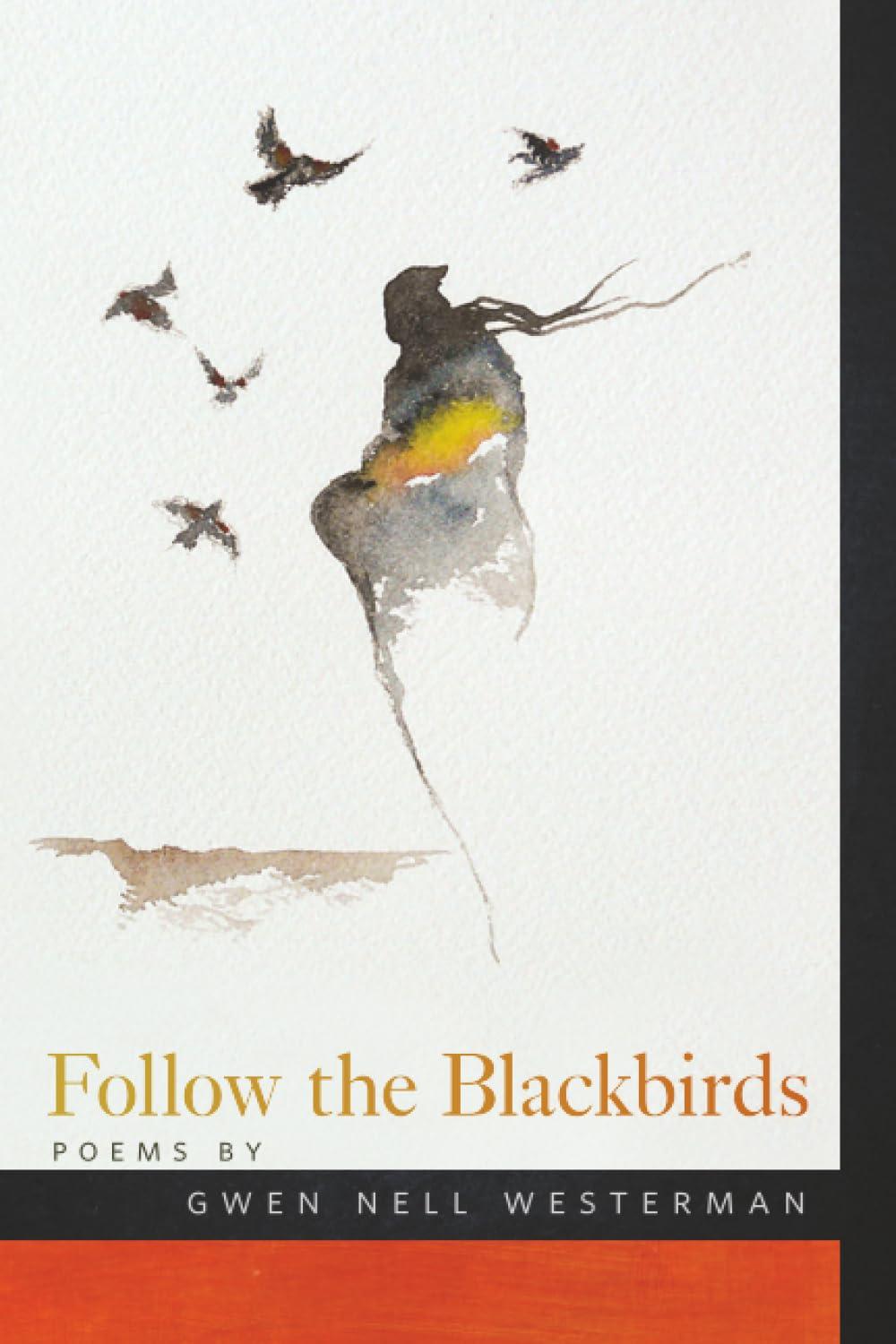 Follow the Blackbirds (American Indian Studies)
