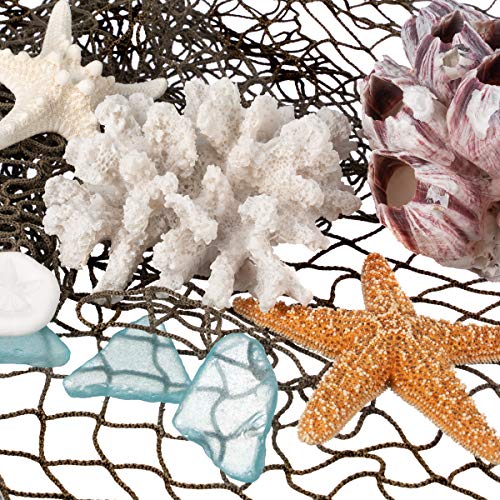 Nautical Crush Trading Decorative Sea Coral - 4In X 3.5In X 2.5In - Small White Coral For Beachy Decor - Perfect For Aquariums - Fish Tanks #TOP1