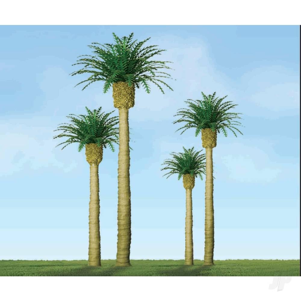 Professional Series: Phoenix Palm, 4"