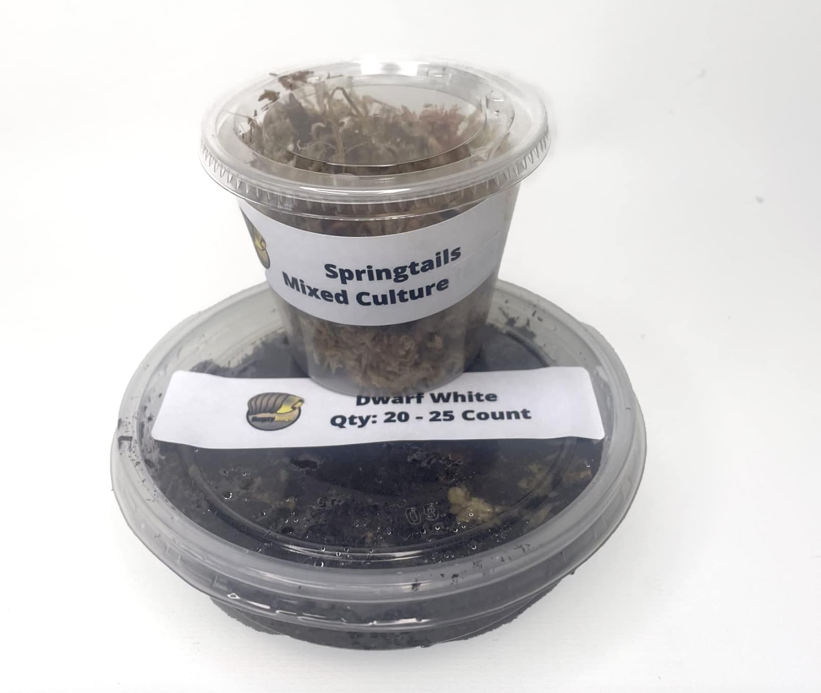 Springtails & Dwarf White Isopods Live Bioactive Clean Up Crew Bundle Reptile Amphibian Food Bundle