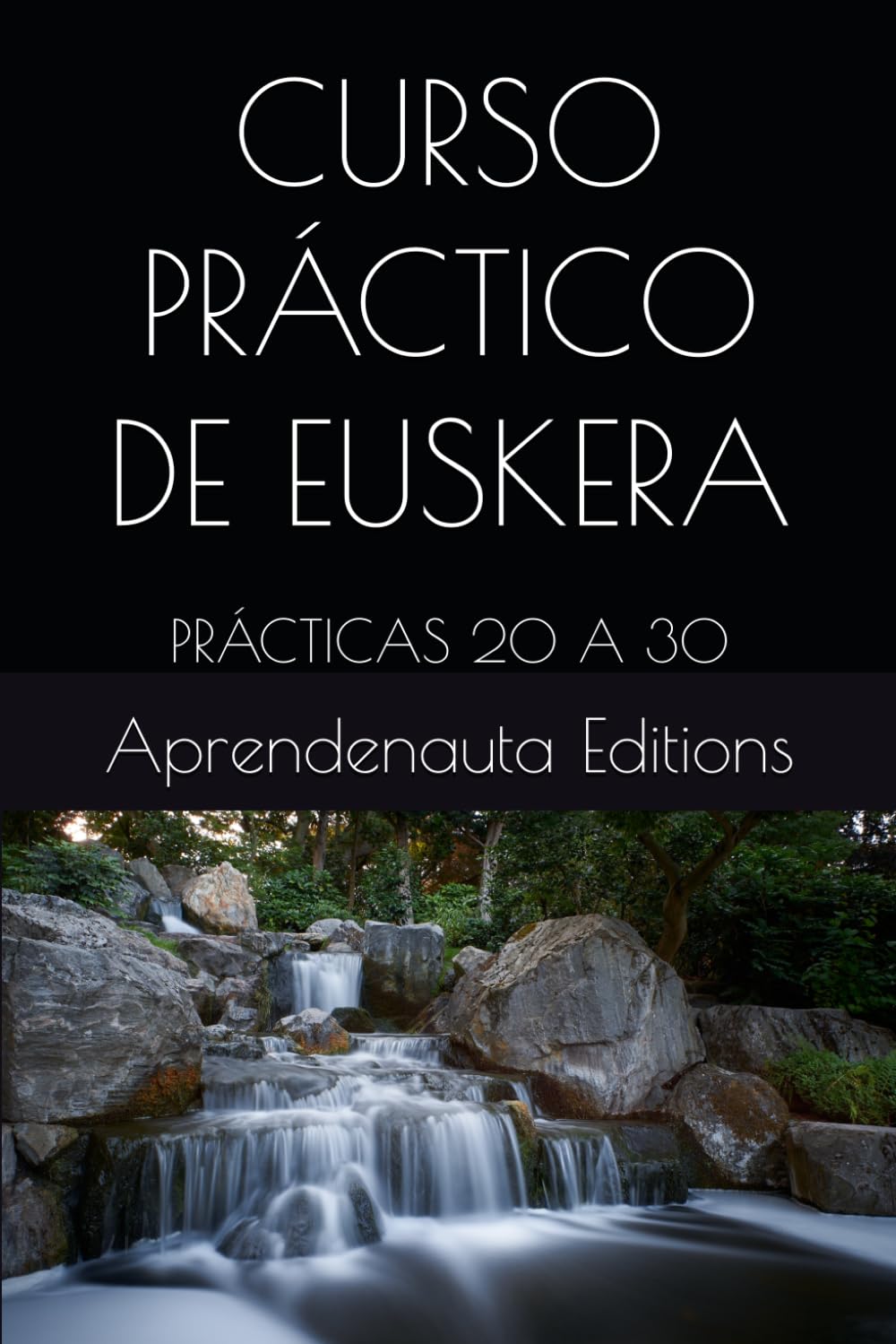 CURSO PRÁCTICO DE EUSKERA: PRÁCTICAS 20 A 30 (CURSO DE EUSKERA (VASCO))