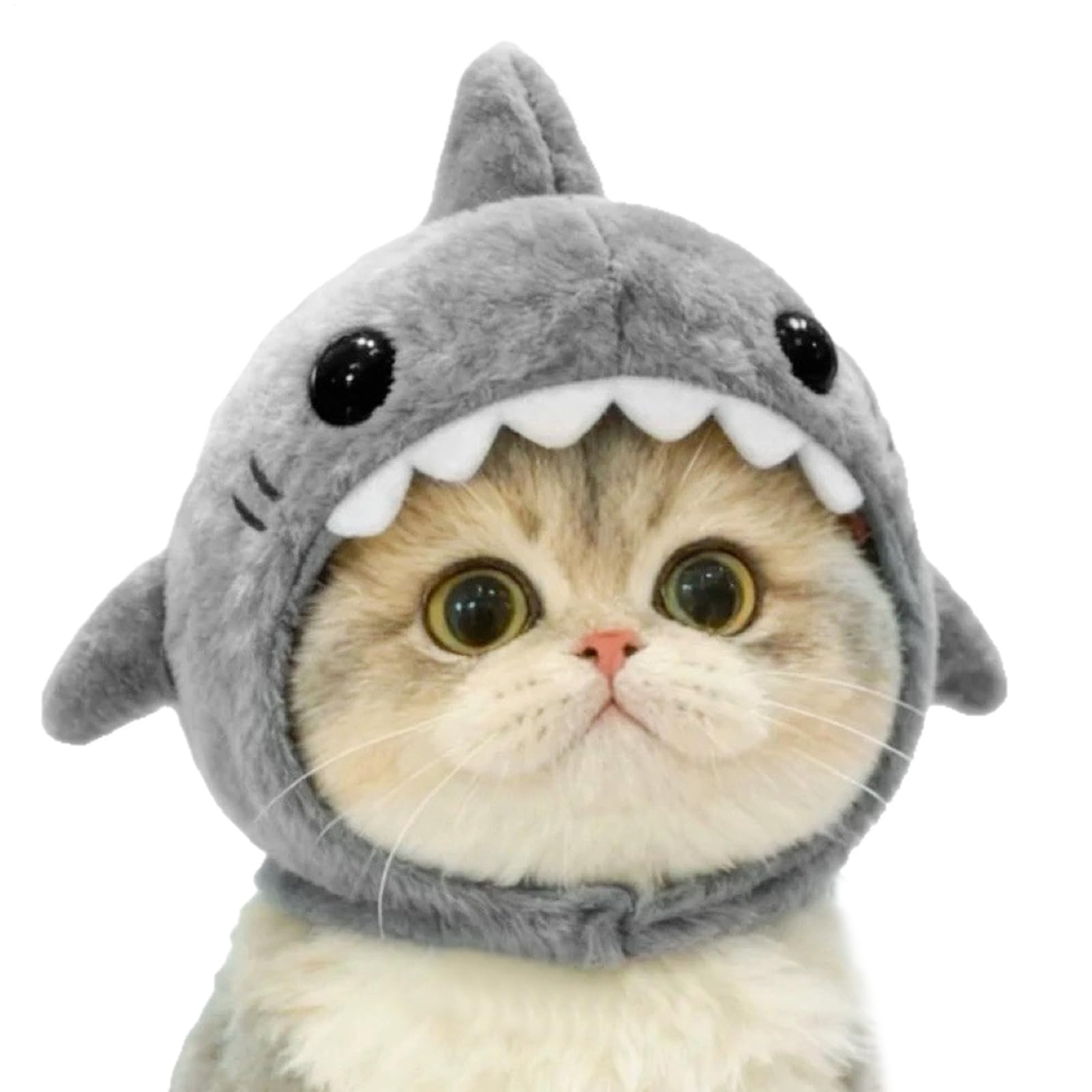 Sombrero para gato con diseño de tiburón accesorio ajustable para mascotas