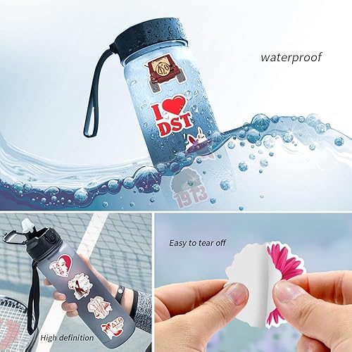 Miniatura 6 de 100 calcomanías de hermandad de mujeres Delta Sigma Theta, lindas calcomanías estéticas impermeables de vinilo para botellas de agua de laptop,