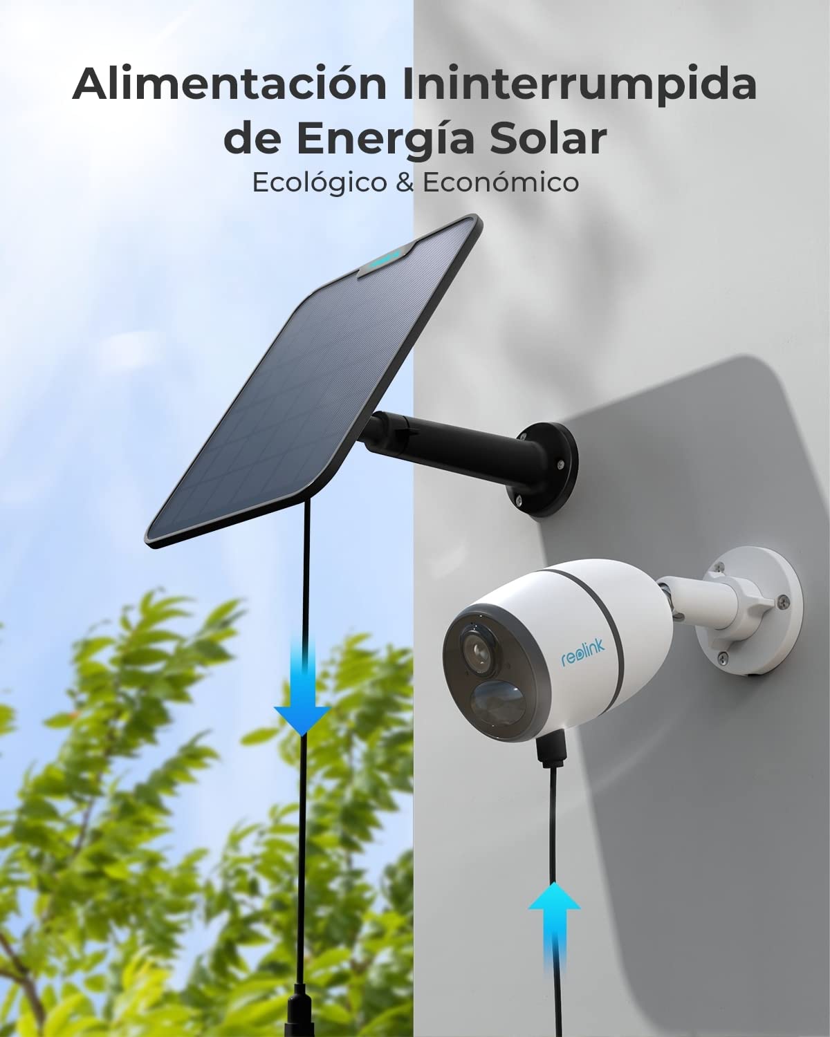 Reolink [Versión Actualizada 2023] 6W Panel Solar (Negro) para Cámara Vigilancia Inalámbrica con Batería, Fuente de Alimentación Continua, Impermeable, 360° de Montaje Ajustable(con Cable de 4m)