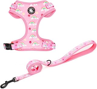 Dog Cat Harness and Leash Set, Puppia Soft Mesh Padded and Adjustable Puppy Vest Cute Dog Clothes Escape Proof Easy Walk Pet Accessories