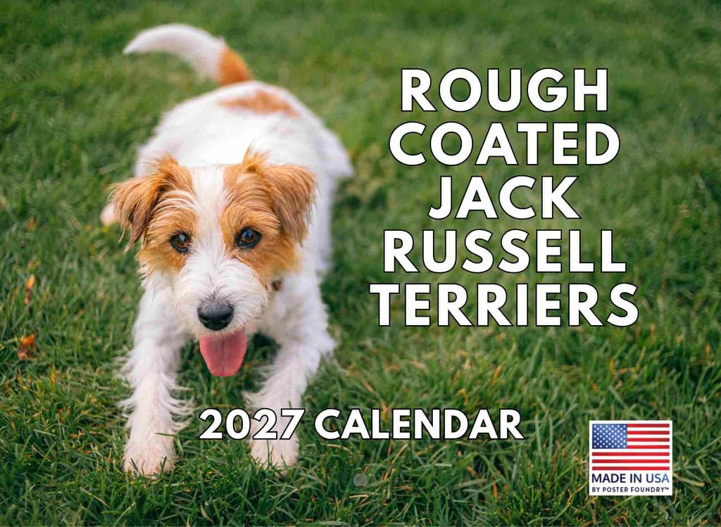 Jack Russell Rough Broken Scruffy Coat Calendar 2027 Monthly Wall Calender 12 Month — image 1