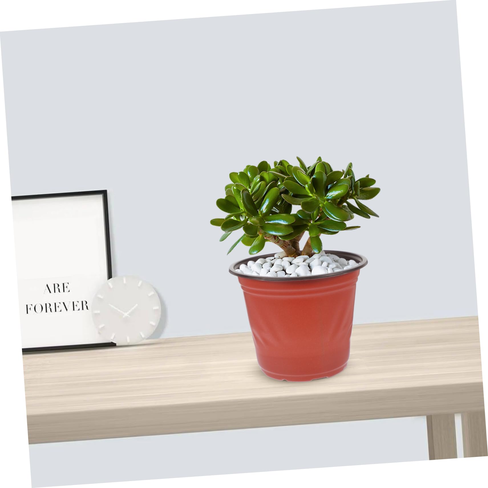 BESPORTBLE 150 Pcs Pot Pot De Semis Planteur s pour Plantes D'Intérieur ES s s De Semis D'Intérieur s D'Intérieur pour ES De Jardin s Extérieur PP