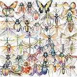 50Pcs Clear PET Insect Aesthetic Stickers for Scrapbooking Journaling Junk Journal Scrapbook Supplies - Waterproof Transparent Bug Decals for Resin Crafts Decorative (Insect)