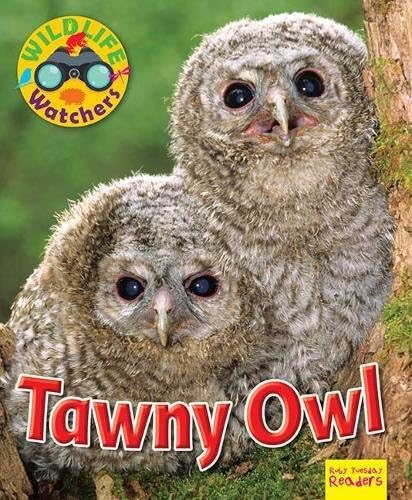 Wildlife Watchers: Tawny Owl 2017 (Ruby Tuesday Readers)