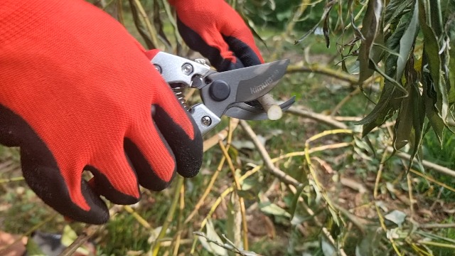 Amazon.com : Kimura® 8