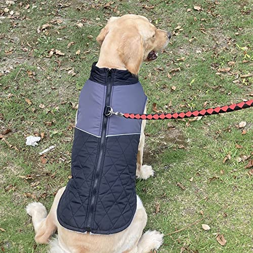 Abrigo impermeable para perros con rayas reflectantes 5