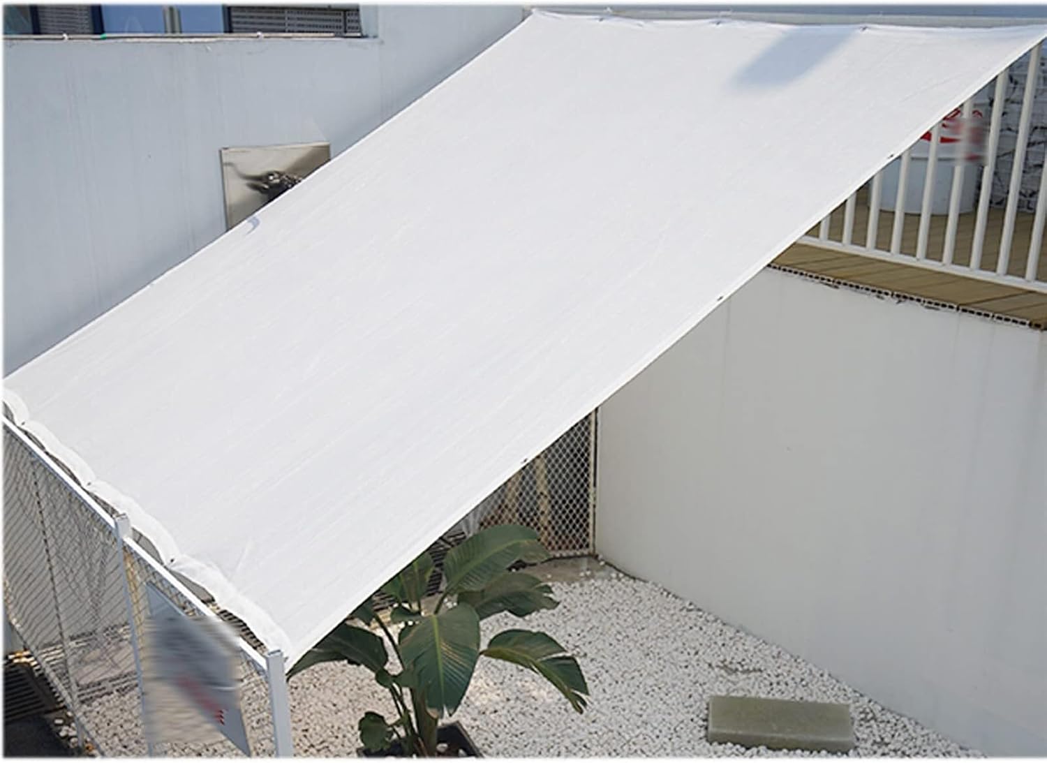 絹本彩色画 森 寛斎筆 蓬莱山之図 肉筆画 川端玉章鑑定書 極め箱有 NO64