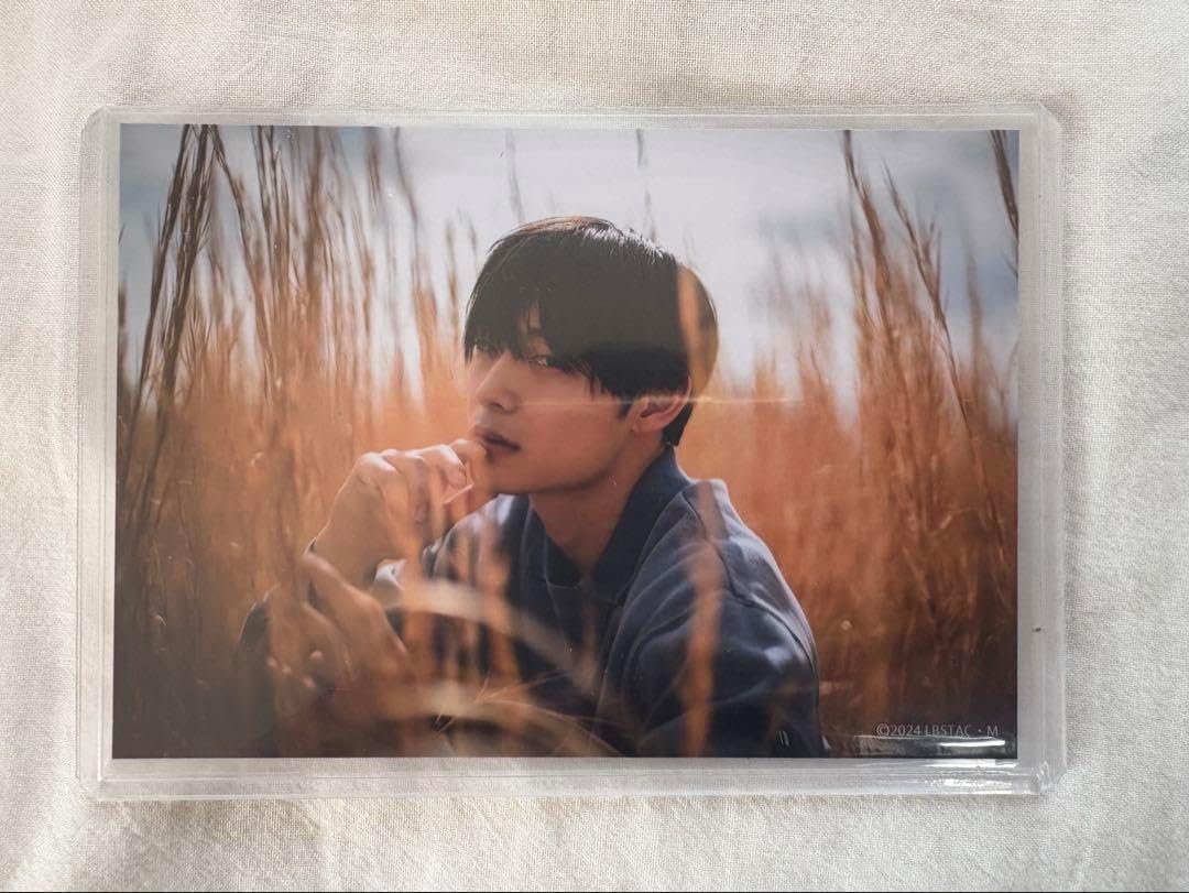 キタムラナオト 原画 鳥の絵画 NAOTO KITAMURA Naoto Kitamura