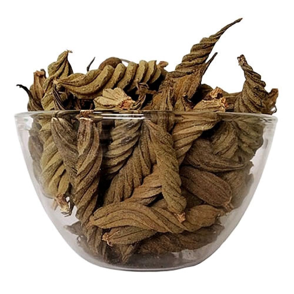 Edamuri Wood Balamuri Yedamuri Balamudi Nuli Kayalu Murad Phalli - 11pcs-image-22