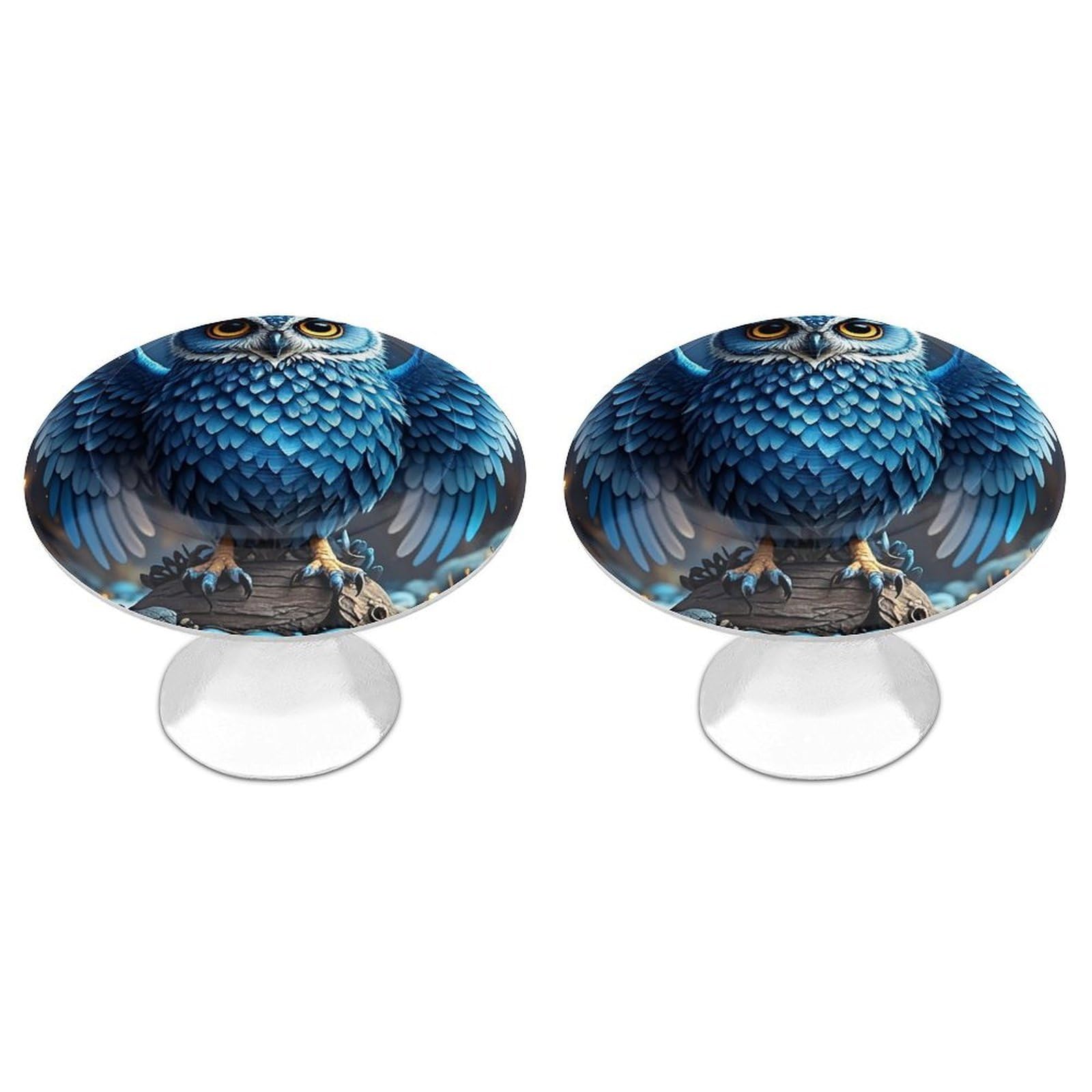 Fekiloot Style Blue Owl Cabinet Knobs Simple Drawer Handles Aluminum Alloy Kitchen Pulls Round Cabinet Door Knobs With Screw Door Hardware For Dresser Cabinets 2 Pack