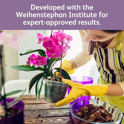 Miniatura 5 de Chrysal Gotas de alimento para orquídeas, cuidado de orquídeas, suministro de un paquete por año, alimento concentrado para flores para todas las
