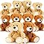 10 Pcs Brown & Dark Brown 10 Pcs Brown & Dark Brown