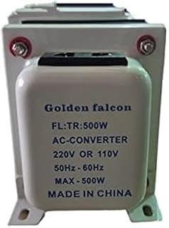 Generic 220V to 110V 500W Inverter