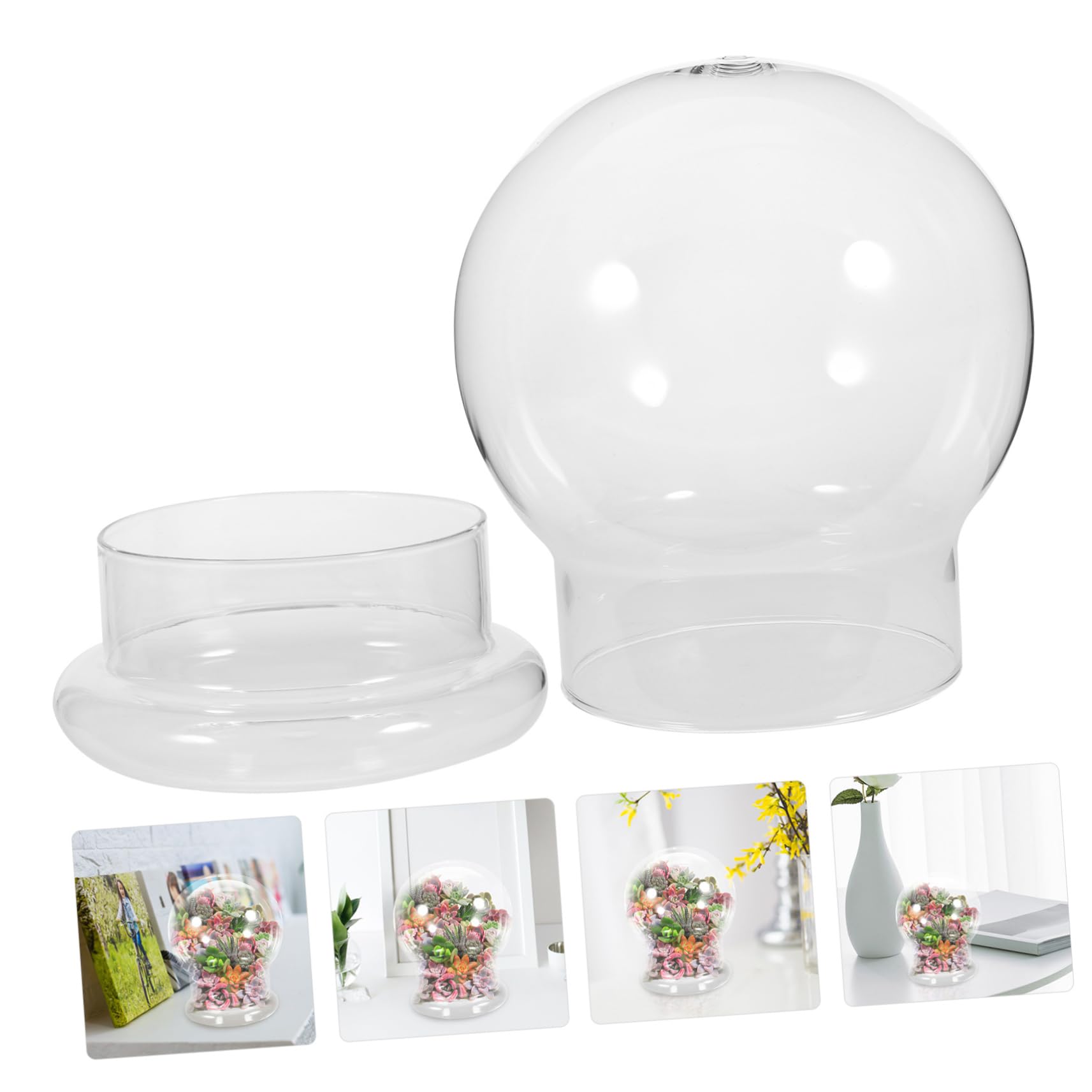 Terrarium Pour Plantes De Bureau Station De Propagation Des Plantes En