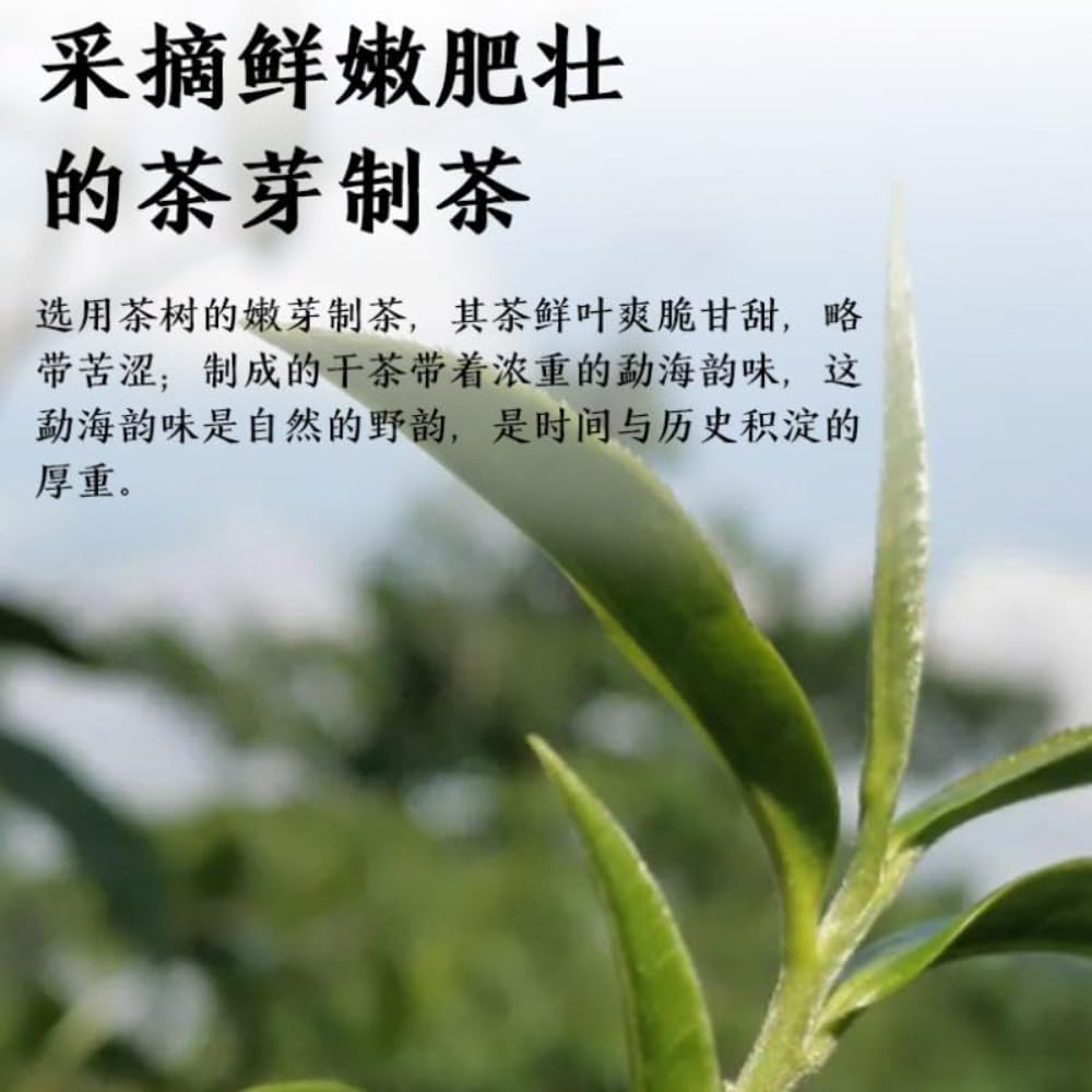 357g Yunnan Premium Pu - Erh Surowa Herbata, Chińska Pamiątka Zodiaku Herbata Pu 'Erh - Wybór Jakości