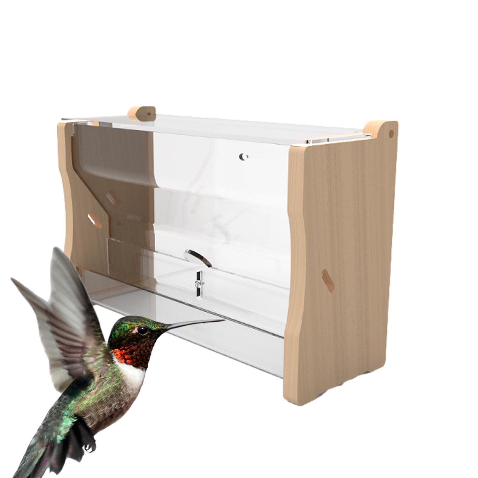 Distributeur d'eau automatique pour oiseaux | Distributeur d'eau pour oiseaux - Accessoires pour cailles, poules, perroquets, etc