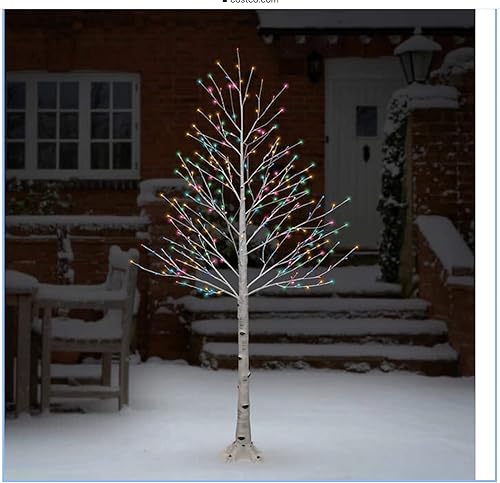 Miniatura 3 de RAZ Imports Árbol de abedul iluminado de 7 pies para uso en interiores y exteriores - Funcitones parpadeantes y constantes