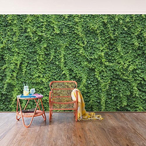 Carta da parati in tessuto non tessuto - Ivy