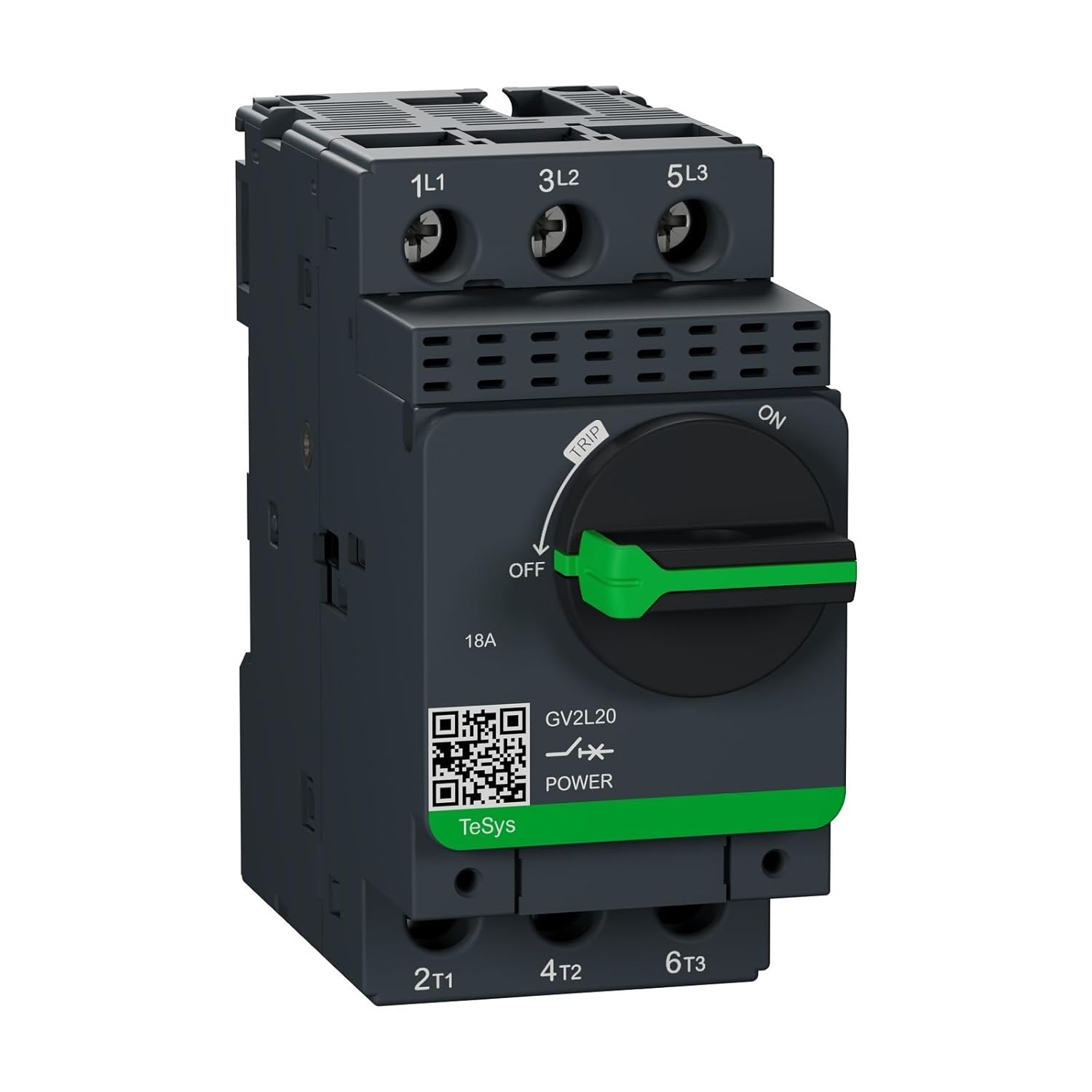 1点物 リトルウッズ ドライフラワー R-577 11/26まで 💐初心者でも失敗