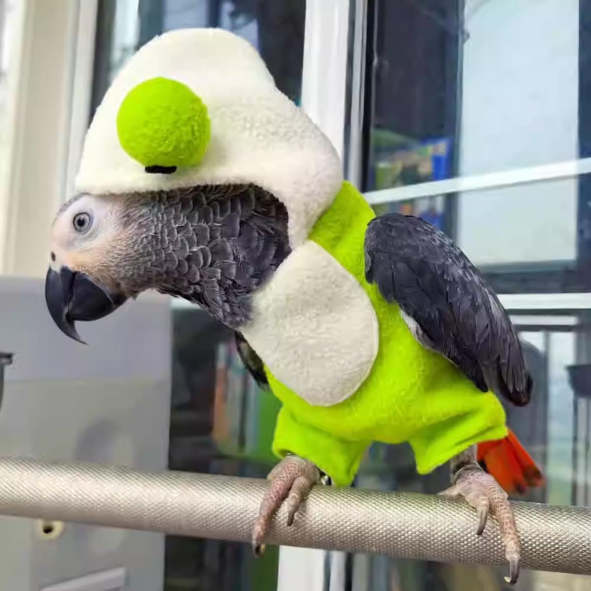 Parrot Clothes Warm Bird Costume Flight Suit, Cute Frog Shape Outfit, Parrot Costume Cosplay Photo Prop Romper Pant for African Greys Parakeet Conure Macaw Cockatoo (Macaw)