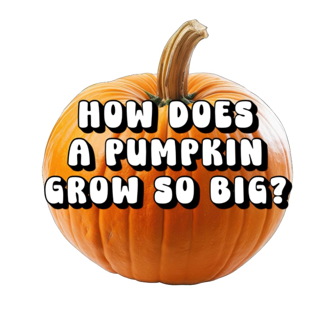 How Does a Pumpkin Grow So Big?