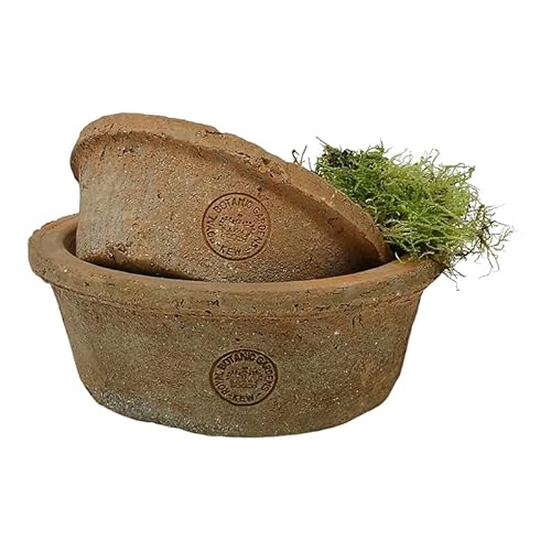 Set of 2 Round Terracotta Dish Planters, Shallow Succulent Plant Pot, Bulb Bowl, Red Stone Weathered Terracotta Plant Pots, Aged Stone Rustic Pots, Weathered Seeds Bulb Crocus Planter