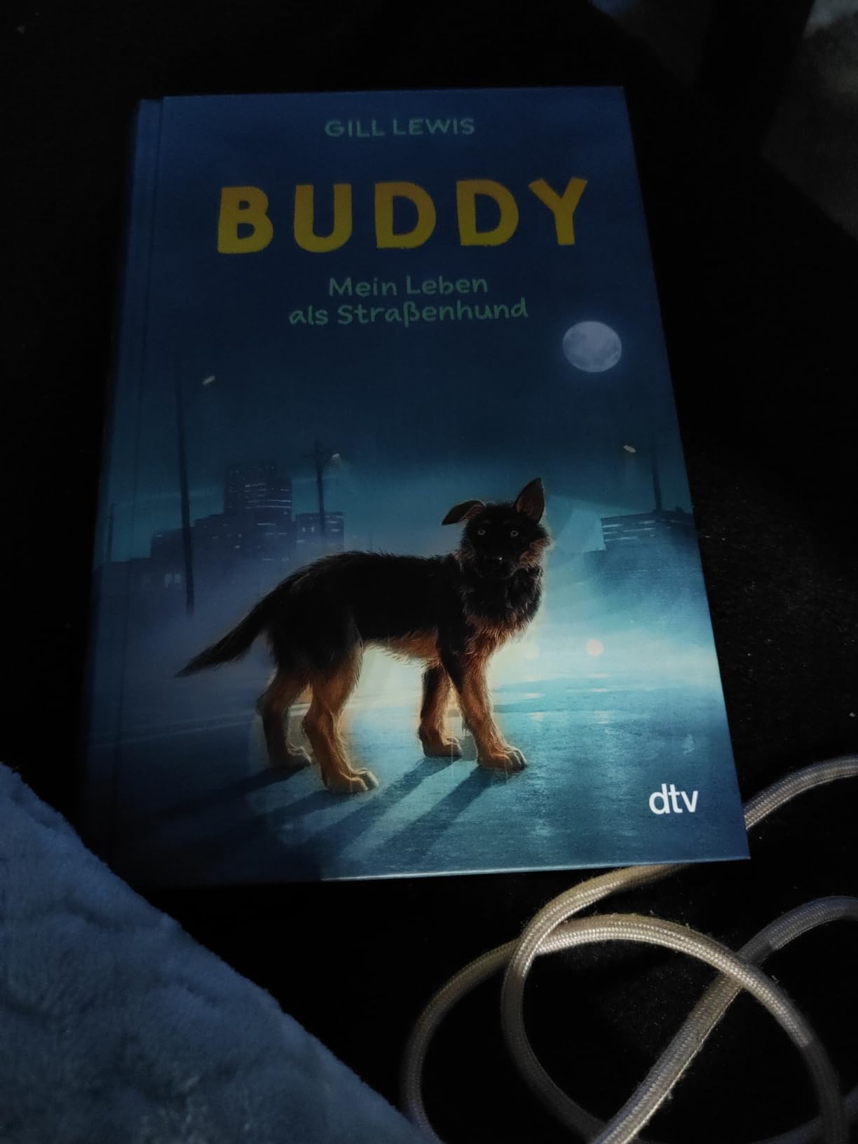 Buddy Mein Leben als Straßenhund Tiefgründige Tiergeschichte ab 11