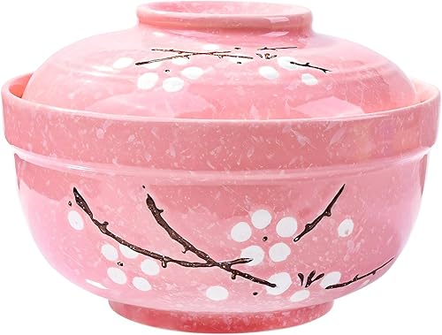 Tazones de cerámica para ramen con tapas, cuenco de fideos instantáneos de porcelana grande japonesa con tapa para sopa, arroz y gachas de avena,