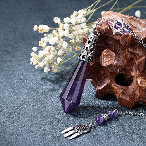 Crystaltears Natural Amethyst Crystal Dowsing Pendulum 12 Facet Reiki Healing Crystal Gemstone Point Pendulums For Divination Wicca Meditation Crystal Therapy #TOP2