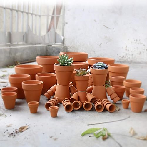 Miniatura 5 de Yishang Mini macetas de terracota con agujeros de drenaje, maceta de cactus suculenta de 1.2 pulgadas, macetas pequeñas de arcilla para interiores y