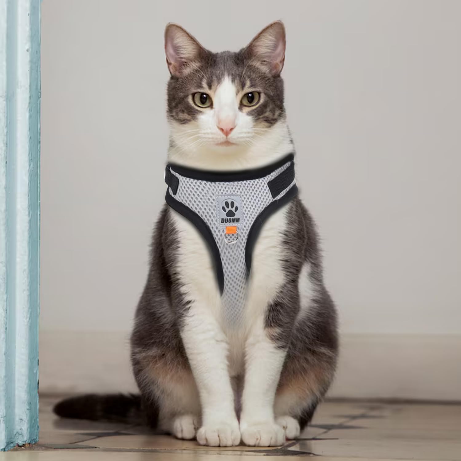 Pettorina e Guinzaglio per Cani, Pettorina Riflettente per Cuccioli, Set di imbracatura e guinzaglio per cuccioli, gatti e gattini (Grigio, S)
