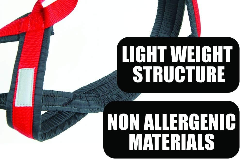 Neewa Pro Sled Dog Harness (Orange, Large (Neck 18 Chest 32 Back 21))