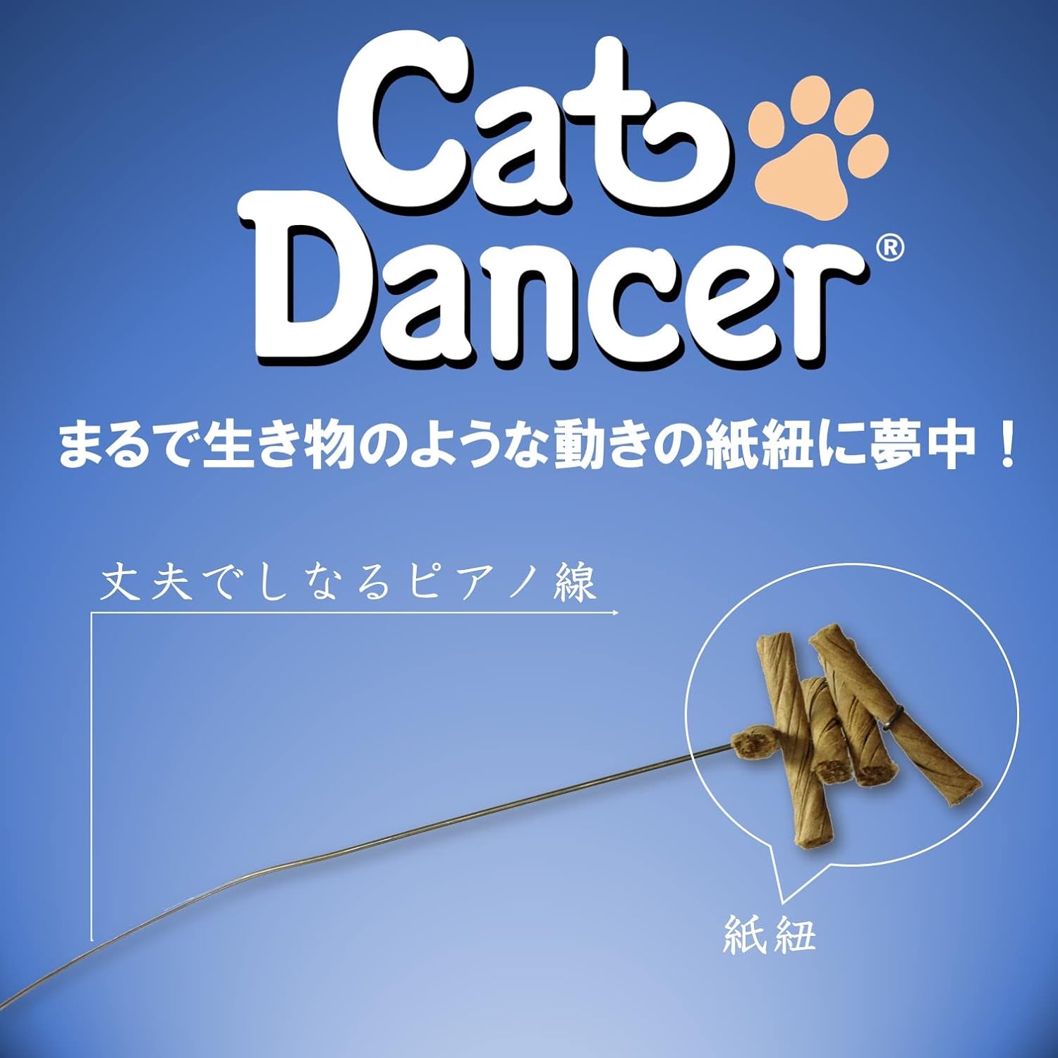 cat dancer 101