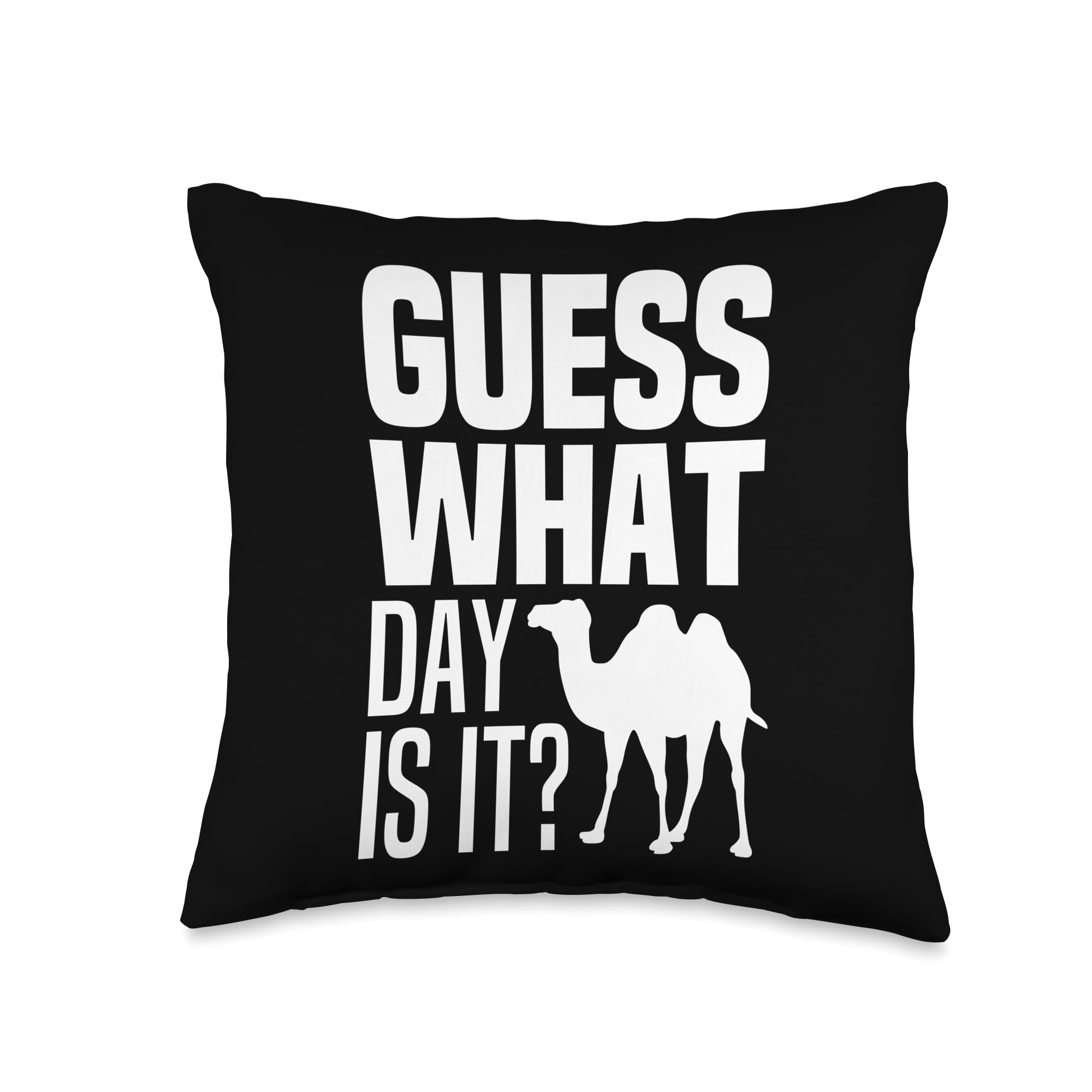Hump Day Memes Nasty 78 - qevrrv1