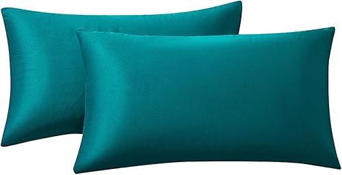 RainRoad Velvet Decorative Throw Pillow Covers Cushion Cover Pillow Case for Sofa Couch Bed Chair,Soft Square Dark Green Throw Pillows 18x18 Inch,Set of 2