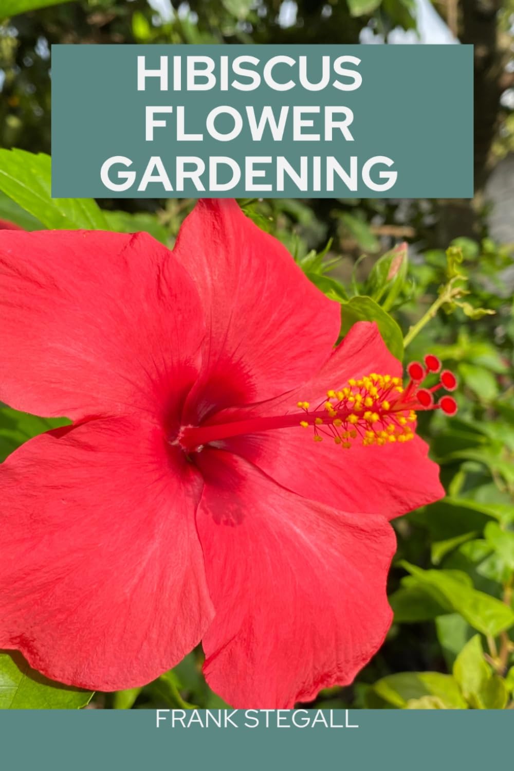 HIBISCUS FLOWER GARDENING: STEP BY STEP BEGINNERS GUIDE TO GROWING, CARING AND HARVESTING