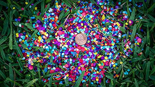 Fiesta Confetti.Value Mexican Colorful Paper Confetti. Jumbo Bag .95lb/425gr. by Fiesta Brands - Image 4