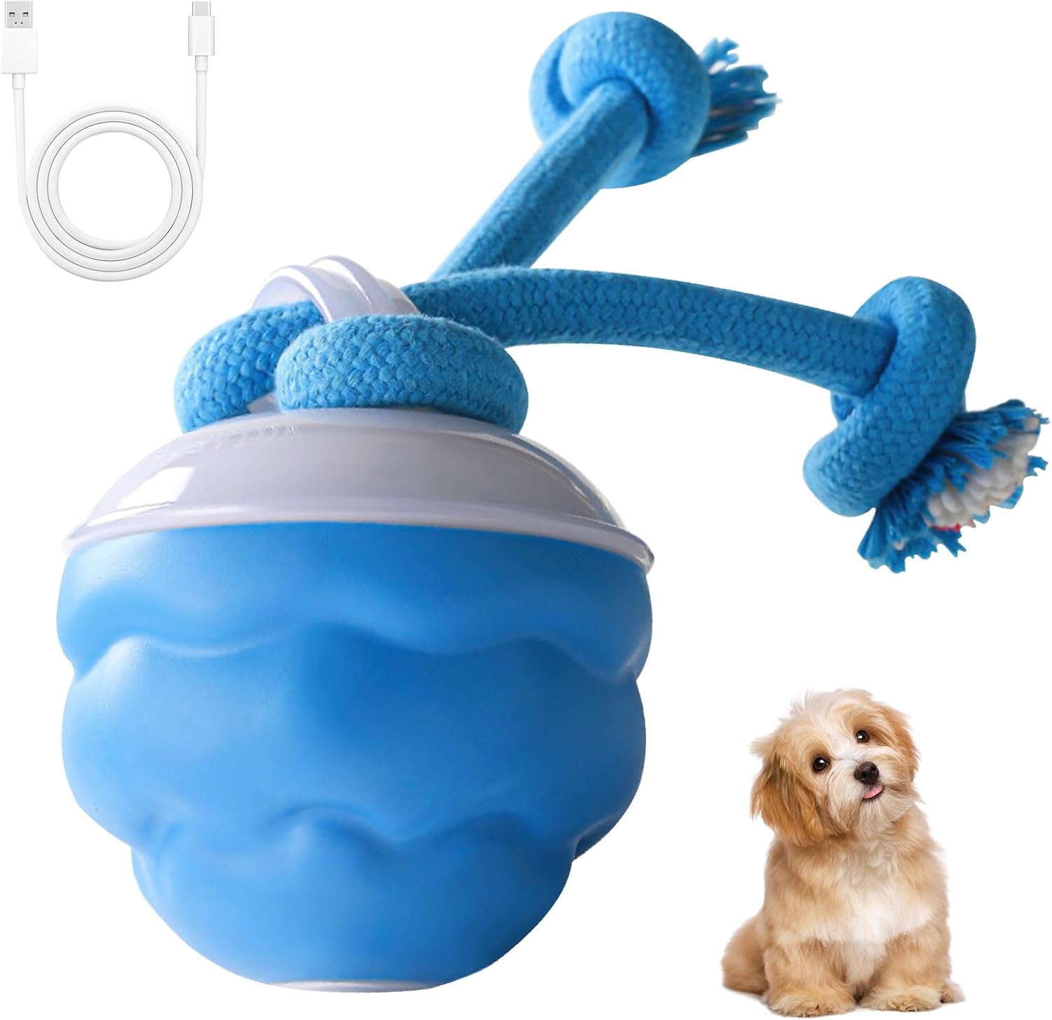 Barkzys PowerTail 2.0 Interactive Dog Toy, Automatic Rolling Ball with Squeaker, for Small Medium Large Dogs