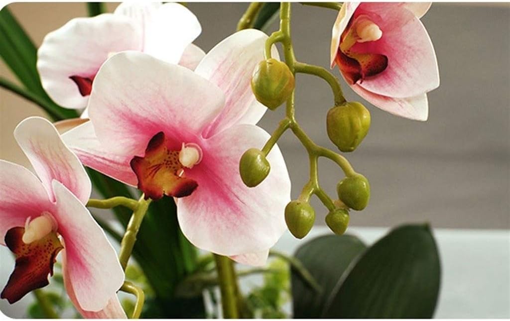 stores Flowers Artificial Silk Orchid Simulation Flower Set Fake Phalaenopsis Bouquet with Vase Arrangement Potted Plant Floral Decor Faux in (Color : C)