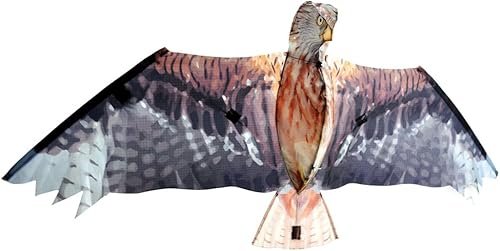 Brookite 3375 Cometa Roja, 18.5 x 41.3 in